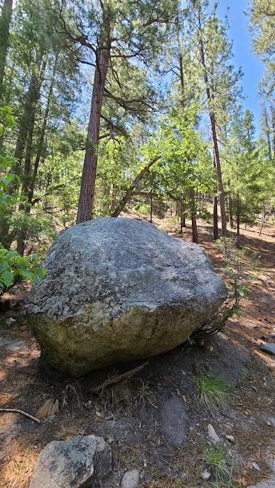 Rose Canyon Campground 2