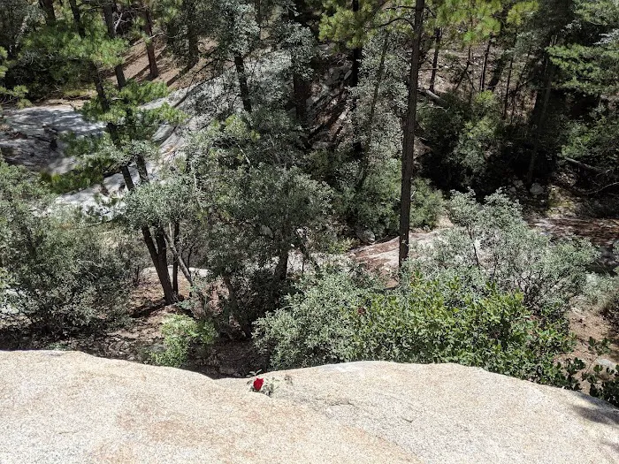 Rose Canyon Lake 5