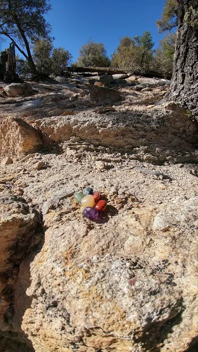 Rose Canyon Lake 7