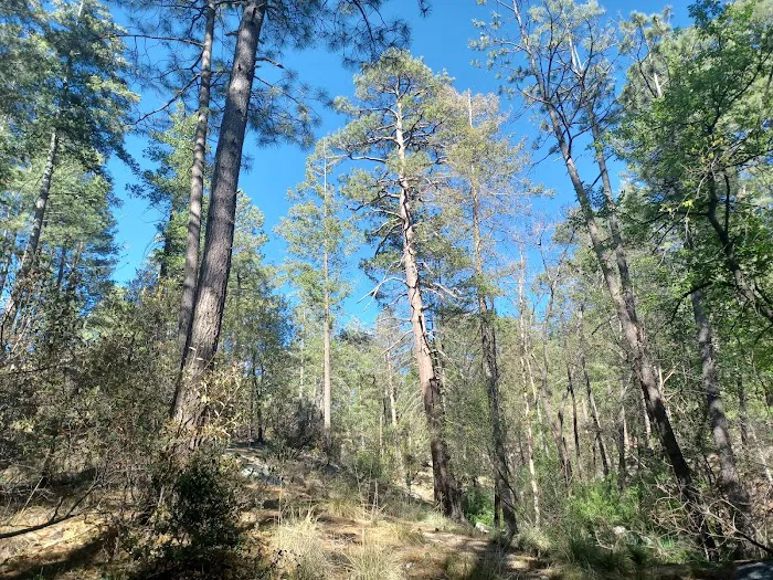 Rose Canyon Lake 8