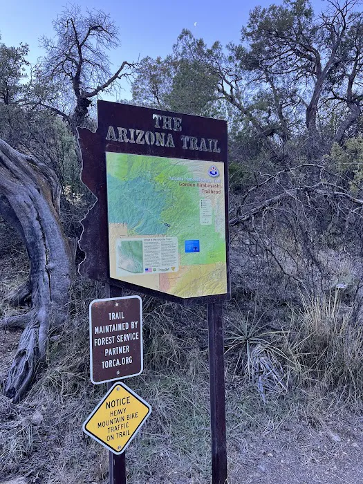 Gordon Hirabayashi Campground 8