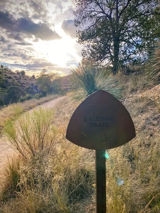 Gordon Hirabayashi Campground 6