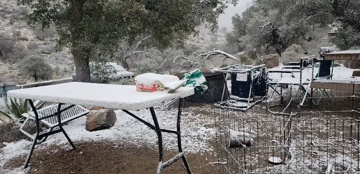 Molino Basin Campground 3