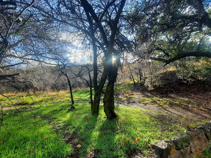 Peppersauce Campground 5