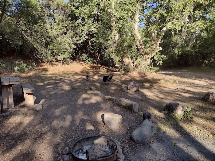 Peppersauce Campground 0