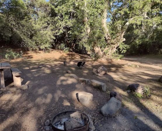 Peppersauce Campground
