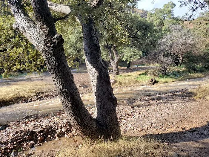 Peppersauce Campground 7
