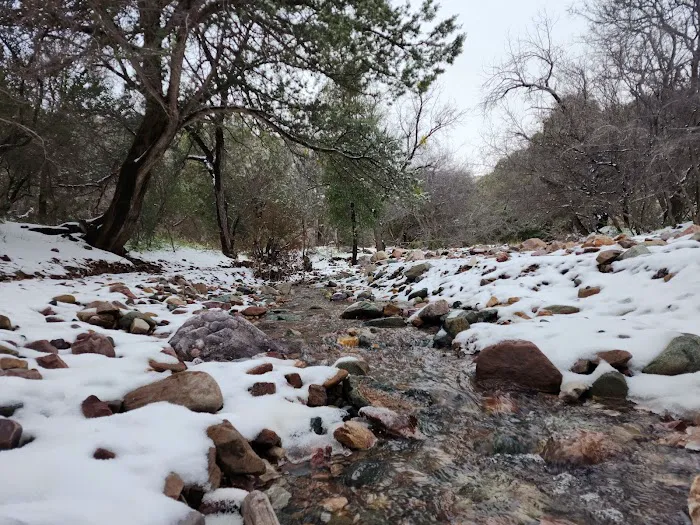 Peppersauce Campground 6