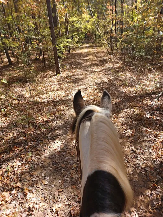 Kings Mountain State Park Equestrian Campground 2