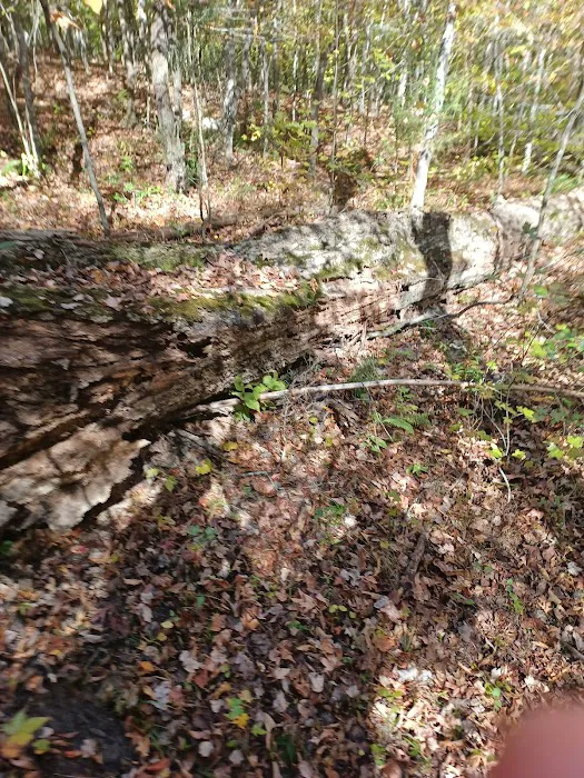 Kings Mountain State Park Equestrian Campground 0