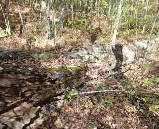 Kings Mountain State Park Equestrian Campground