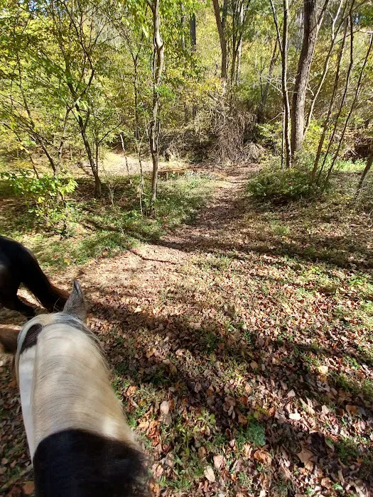 Kings Mountain State Park Equestrian Campground 4