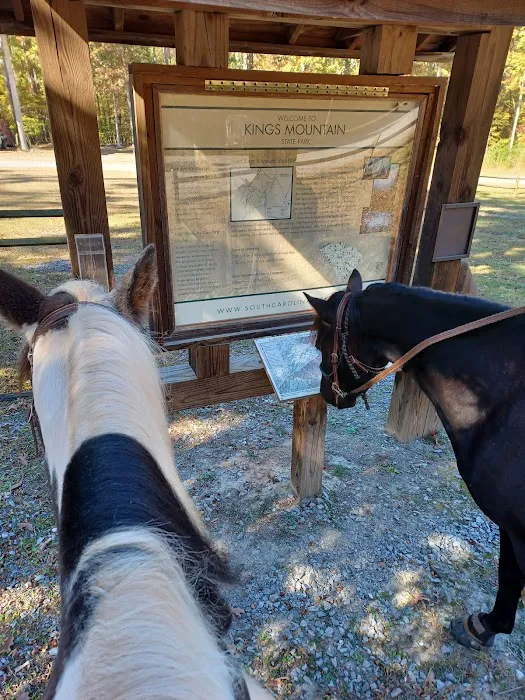 Kings Mountain State Park Equestrian Campground 3