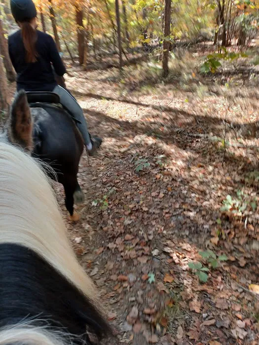 Kings Mountain State Park Equestrian Campground 9