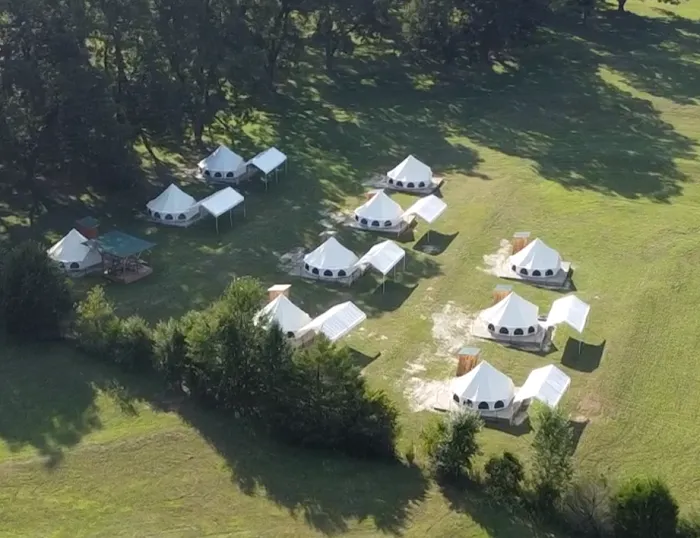 Upstate Pecan Grove 2