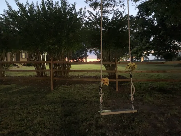 Upstate Pecan Grove 1