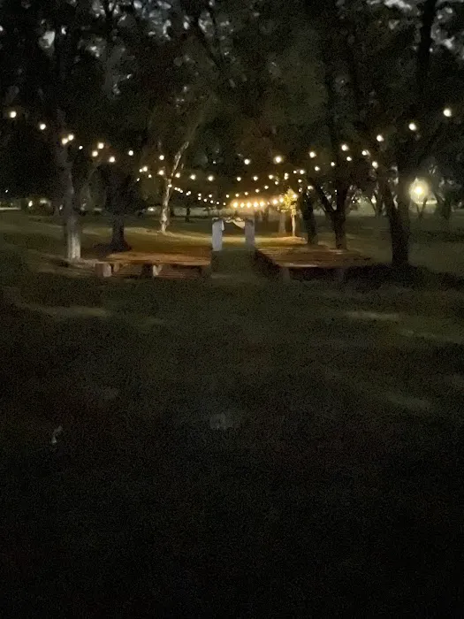 Upstate Pecan Grove 3