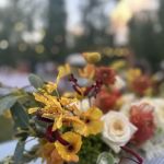 Wheat Creek Outpost - Glamping & Events - Coming Soon!