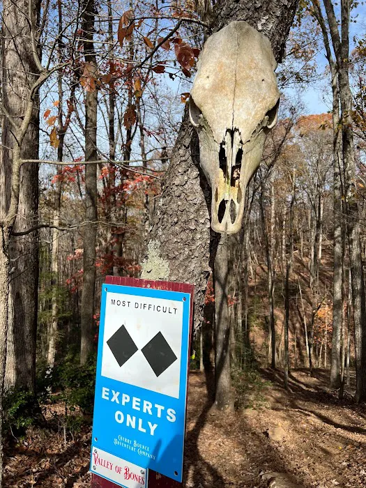 Cherry Bounce Adventure Co., Camping & ATV/SXS Resort 7