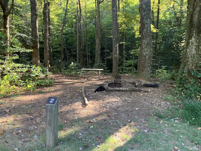 Jacob Branch Backcountry Campground 5