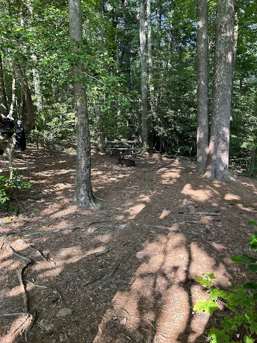 Jacob Branch Backcountry Campground 2