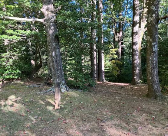 Jacob Branch Backcountry Campground