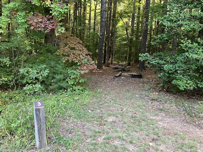 Jacob Branch Backcountry Campground 1