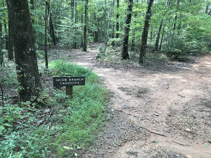 Jacob Branch Backcountry Campground 6