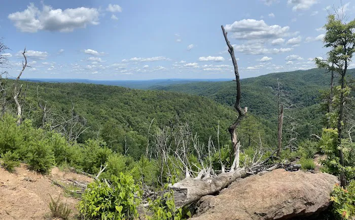 Upper Falls Backcountry Campground 0