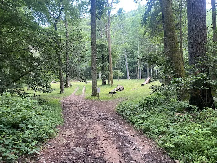 Upper Falls Backcountry Campground 6