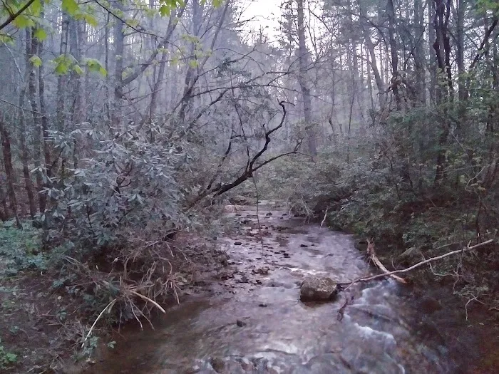 Shinny Creek Backcountry Campground 1