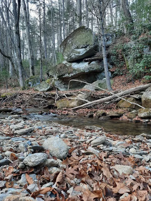 Shinny Creek Backcountry Campground 2