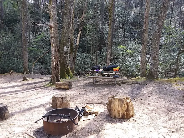 Shinny Creek Backcountry Campground 0