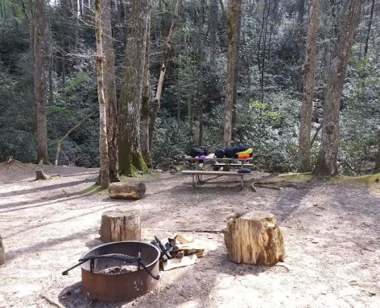 Shinny Creek Backcountry Campground