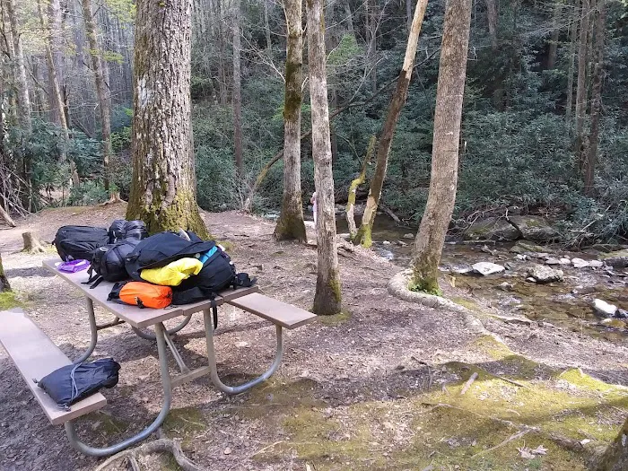 Shinny Creek Backcountry Campground 7