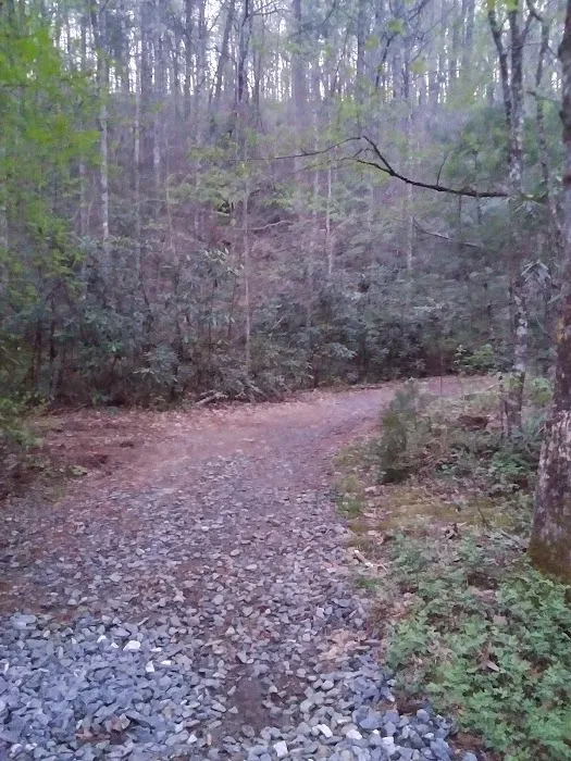 Shinny Creek Backcountry Campground 6
