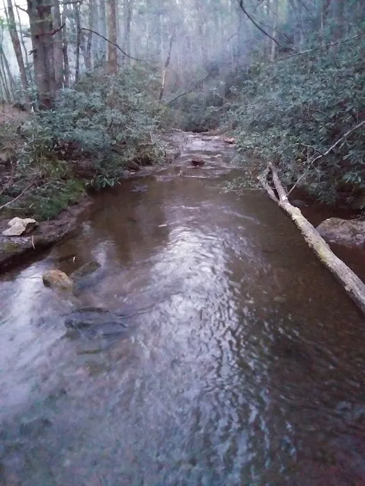 Shinny Creek Backcountry Campground 8