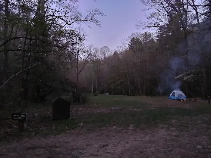 Shinny Creek Backcountry Campground 9