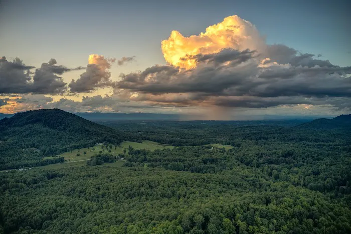 Bolin Knob Meadows 0