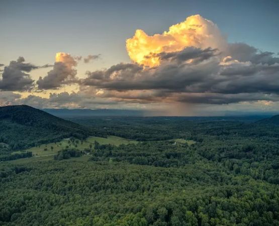 Bolin Knob Meadows