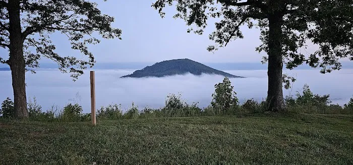 Bolin Knob Meadows 1