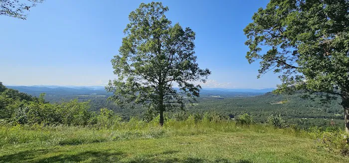 Bolin Knob Meadows 3