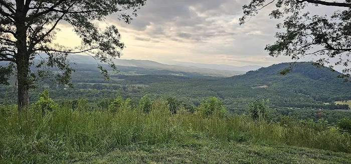 Bolin Knob Meadows 8