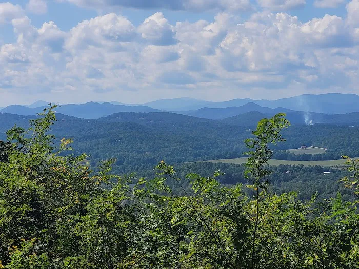 Bolin Knob Meadows 7
