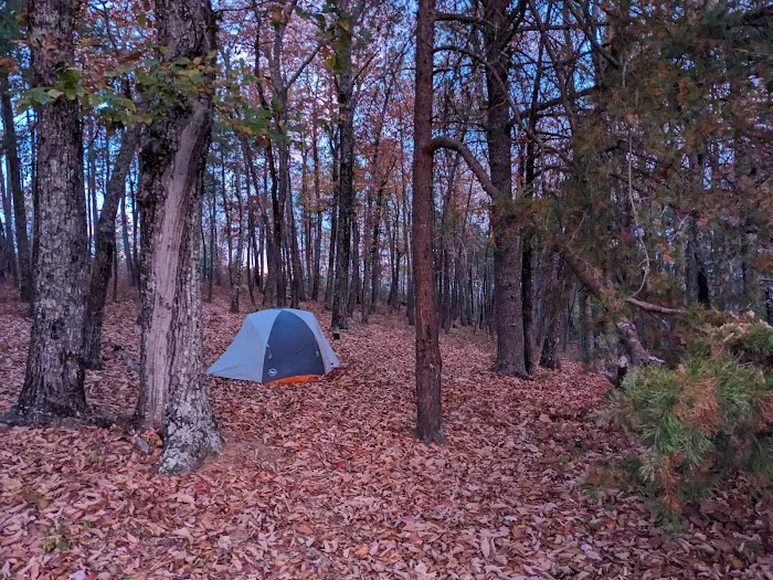Sawtooth Backcountry Campground 2