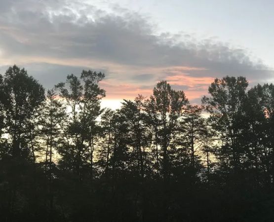 Shingle Hollow Congregational Holiness Camp Ground