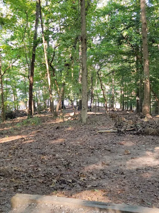 Lake Norman State Park Campground 8