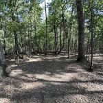 Lake Norman State Park Group Camp Sites