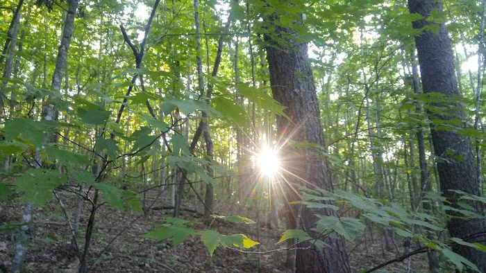 Ldma Vein Mountain, NC 0