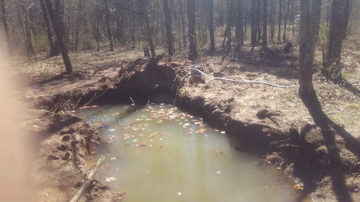 Ldma Vein Mountain, NC 9